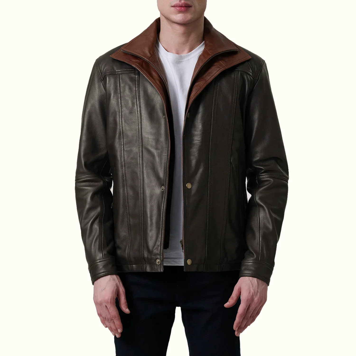 Alden klassische braune Lederjacke Herren aus Schafsleder in Vorderansicht